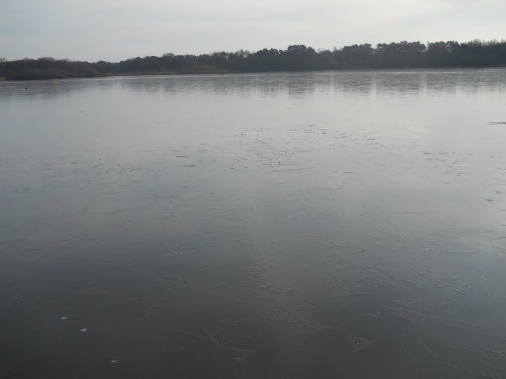 Fleet Pond by Robert'sGoogleEarthPictures