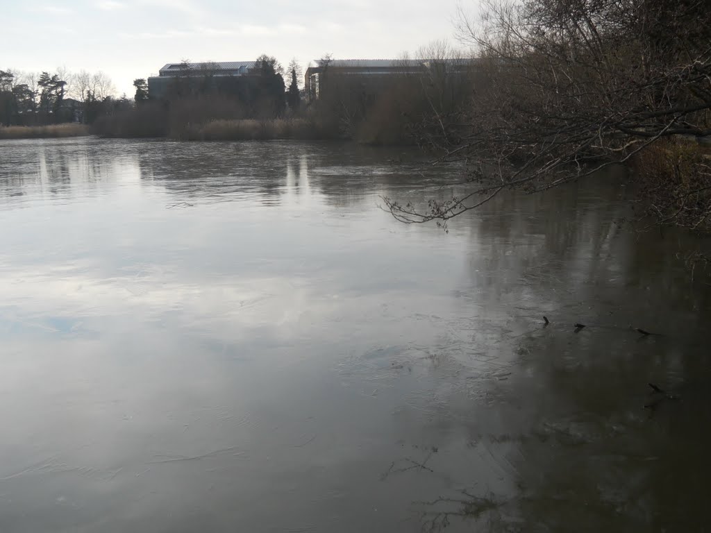 Fleet Pond by Robert'sGoogleEarthPictures