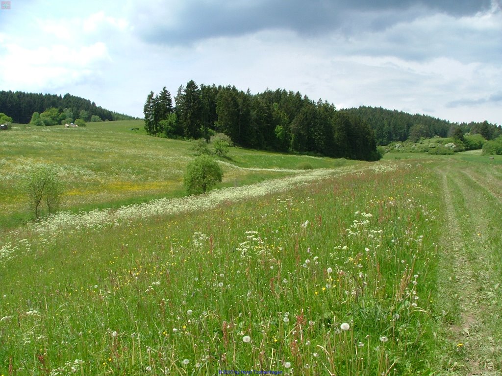 Umgebung Schleusingen by foto-schleusingen.de