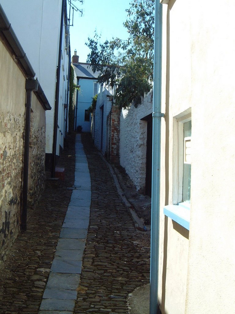 Appledore, Alley Way, the local name for an alley way of this kind is a "drang" by Graham Martin