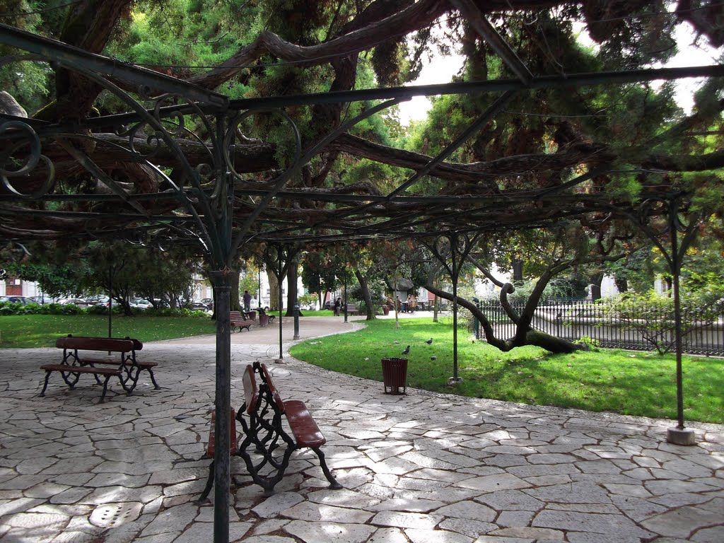 Estrutura de ferro onde foi montada a árvore, Cedro-do-Bussaco (Cupressus lusitanica), Jardim do Princípe Real, Lisboa by Margarida Bico