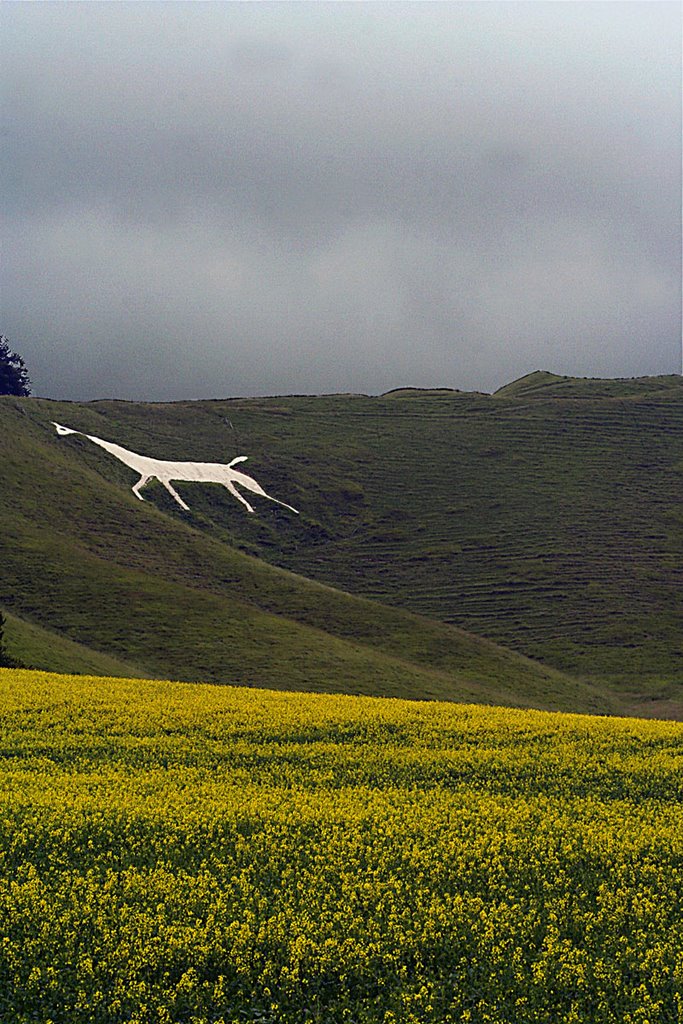 Cherhill White Horse by JGlennBauer