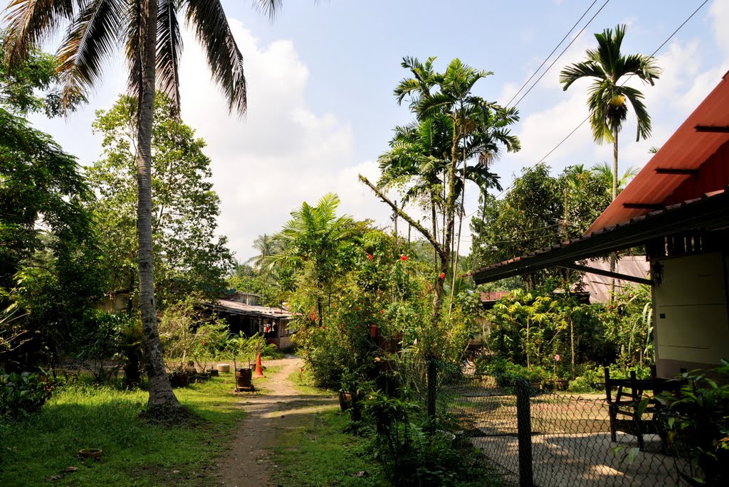 Buangkok village Singapore by Sincere Photo