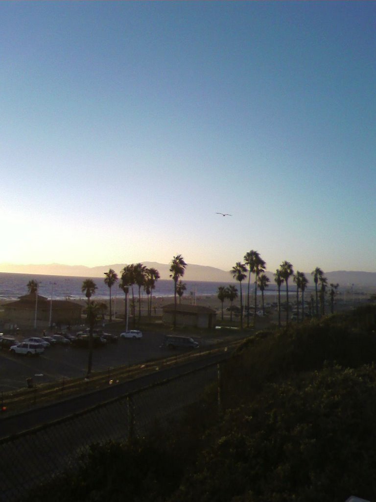 Dockweiler State Beach by Tony Perkins