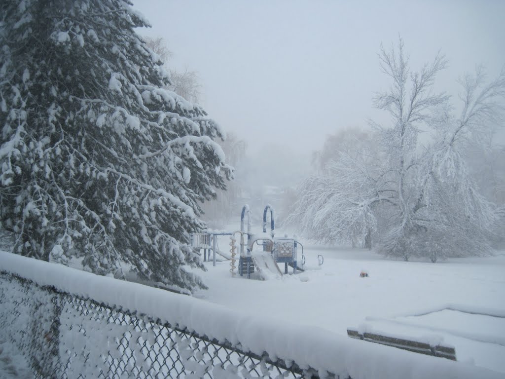 2011 Snowstorm at Griggs Park by rlfmlemon