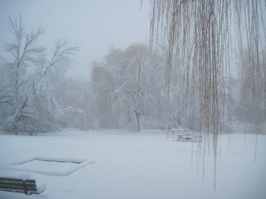 2011 Snowstorm at Griggs Park by rlfmlemon