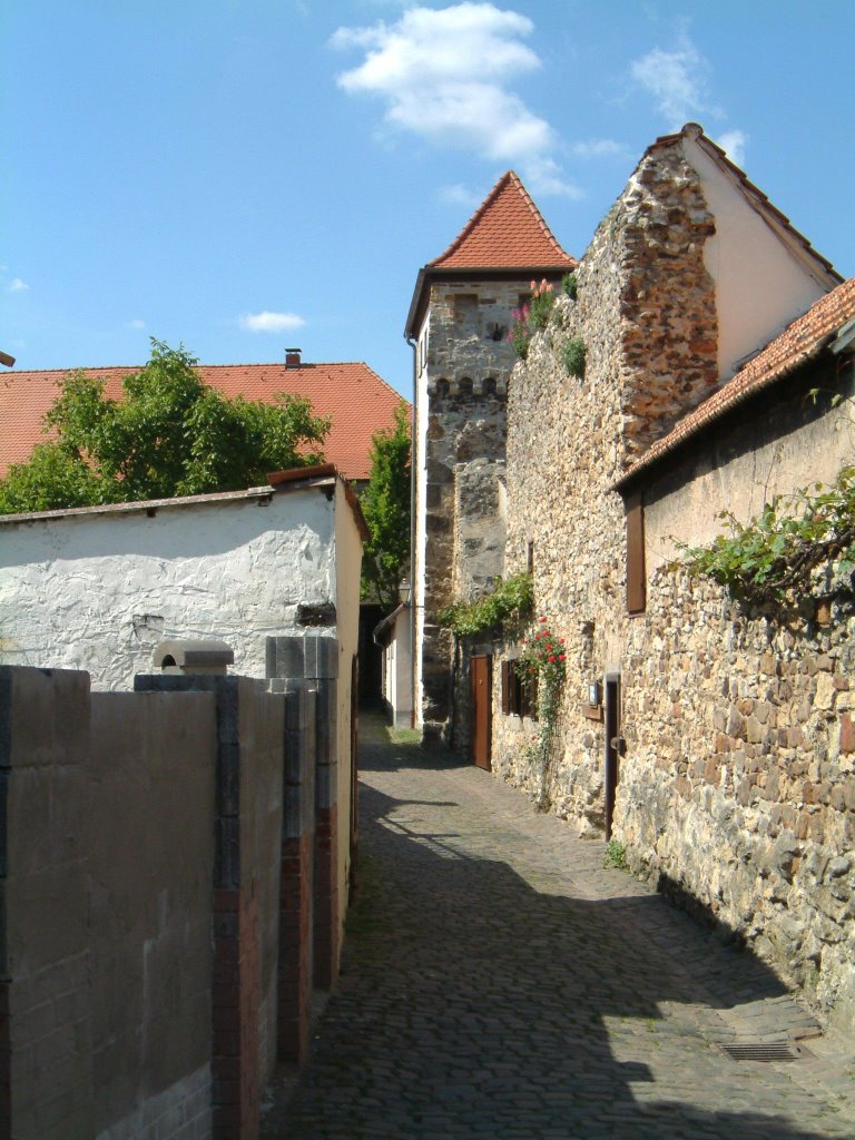 DSCF1761Hahnenturm by Frank Bisgen