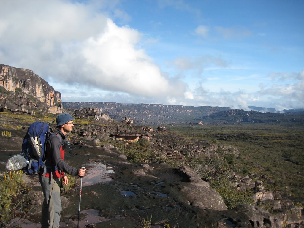 Auyantepui, looking towards el Oso by Richard Guy