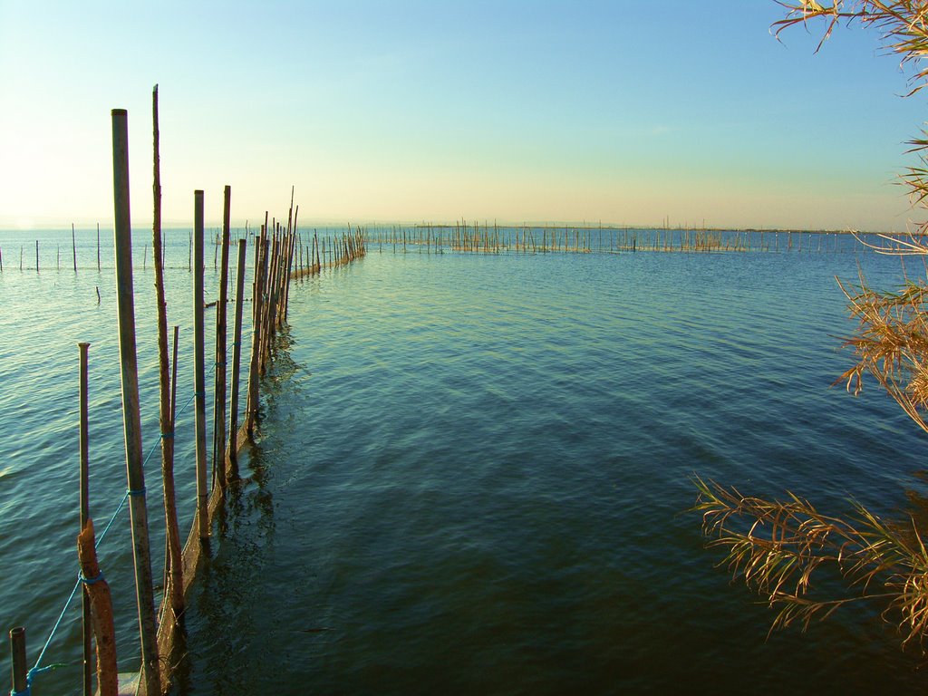 Invierno en la Albufera by hehila57