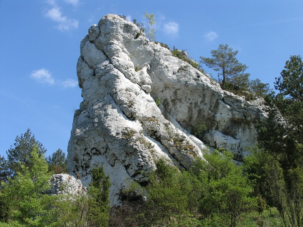 Skała w okolicy Mirowa by Piotr Hornung