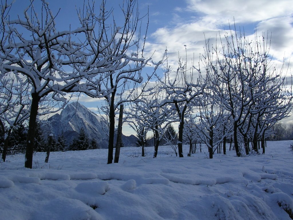 M.te Amariana da Verzegnis - Invernale by Tolazzi Stefano