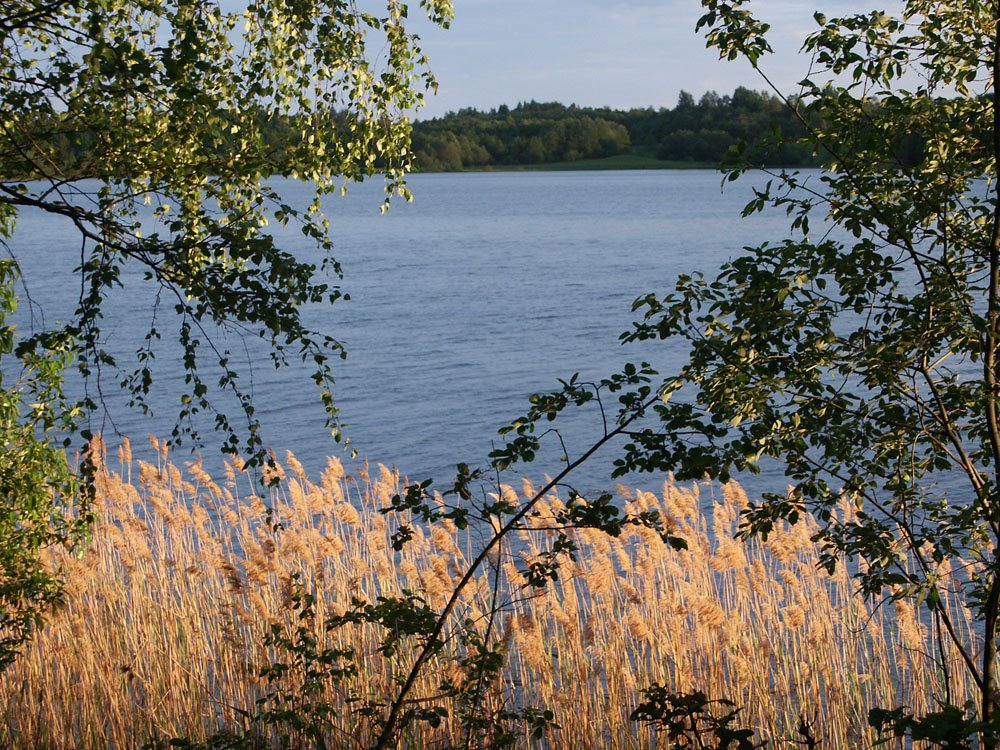 Velizhsky District, Smolensk Oblast, Russia by Kiyanovsky68