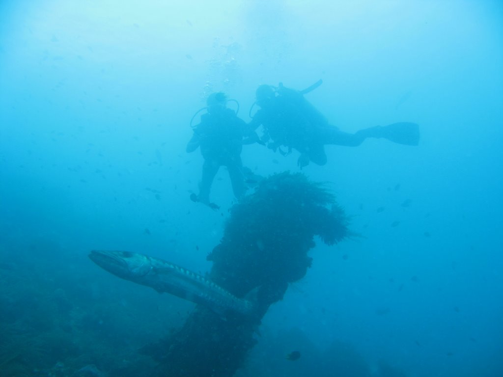 Diving in Tulamben by shimko