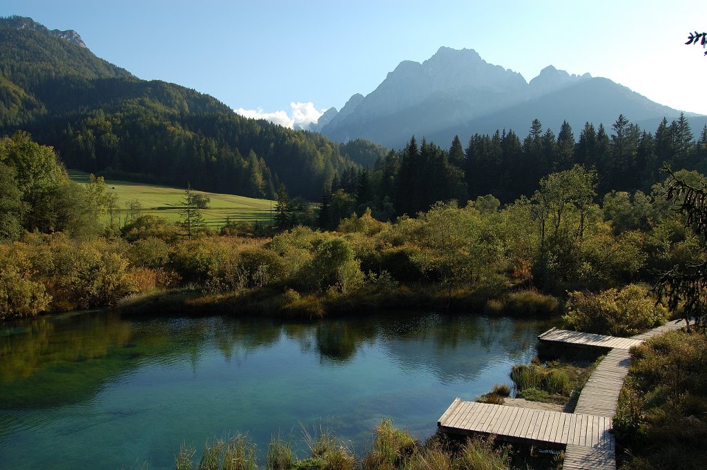 Zelenci Jezero Razgled by gegco