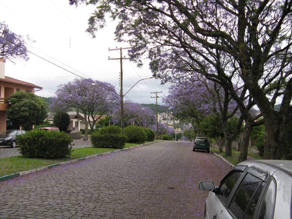 Nova Prata - Avenida Borges de Medeiros próximo à CORSAN by Fábio P. Hoffmann