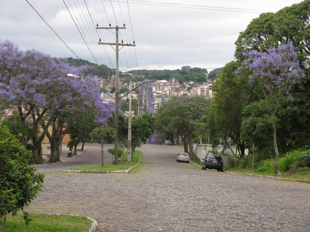 Nova Prata - Avenida Borges de Medeiros by Fábio P. Hoffmann