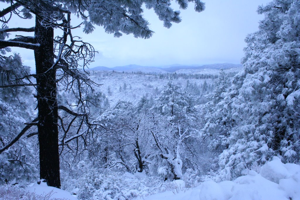 Cleveland National Forest, San Diego County by Steve Prendergast