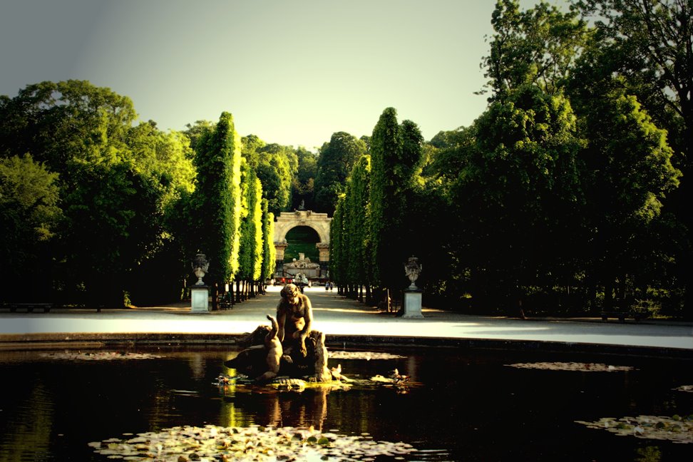 Park Schönbrunn by Sigrid Thanner