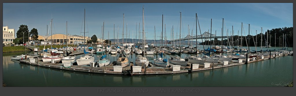 Treasure Island Sailboats by SJackson