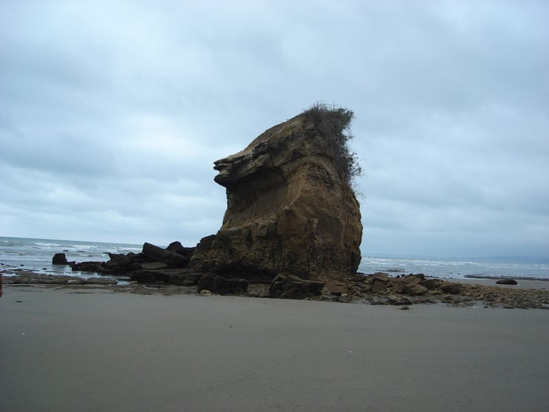 Av. Virgilio Ratti, Bahía de Caráquez, Ecuador by roddymacias