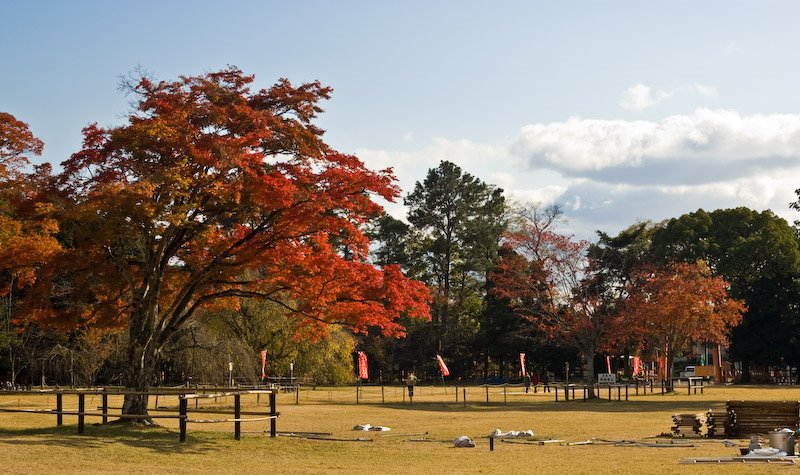 Kamigamo Motoyama, Kita Ward, Kyoto, Kyoto Prefecture 603-8047, Japan by 宮崎亮