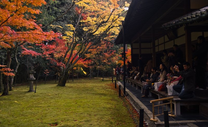 Murasakino Daitokujicho, Kita Ward, Kyoto, Kyoto Prefecture 603-8231, Japan by 宮崎亮