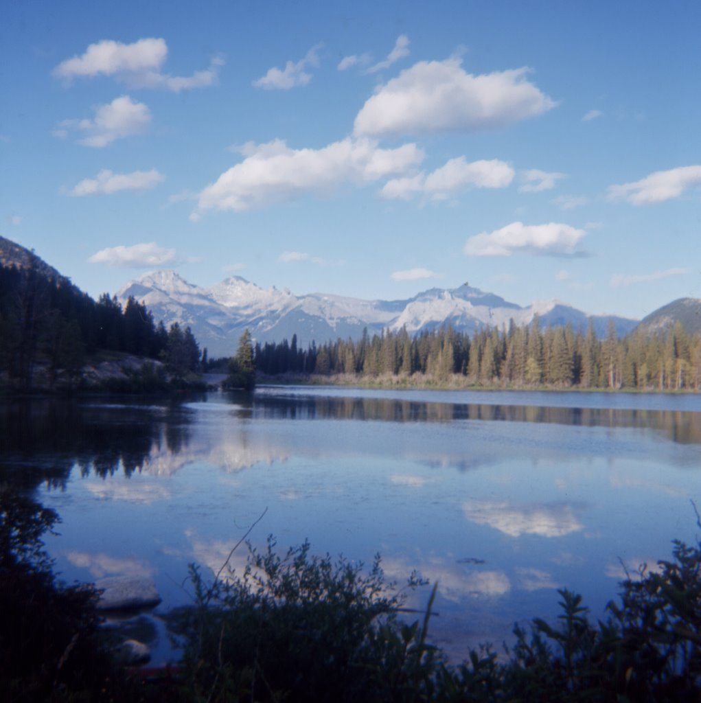 Fairholme Range by S. C. Macleod