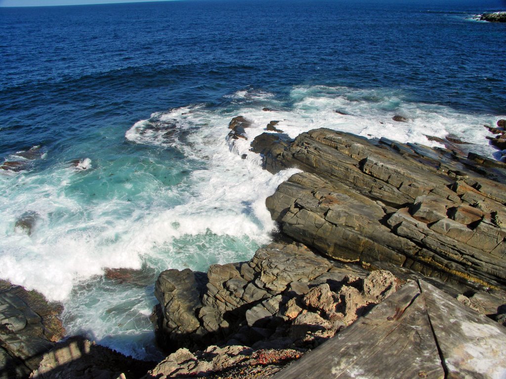 Admiral's Arch coastline Kangaroo Island by S & S Markham