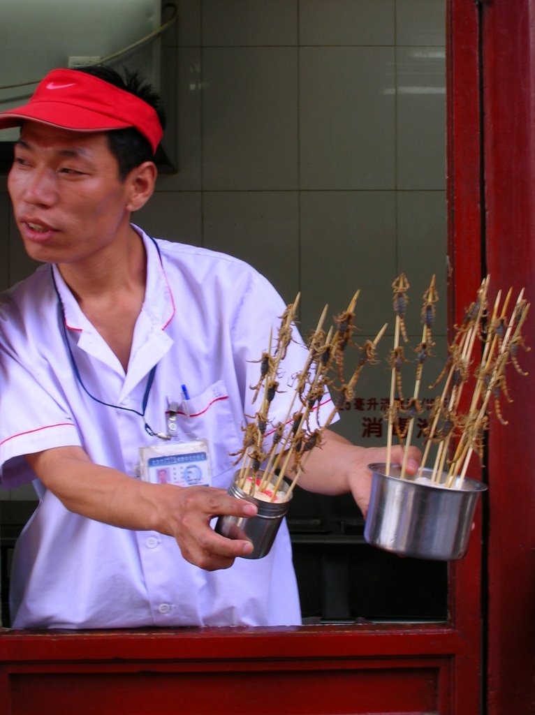 Beijing by pierre dussort