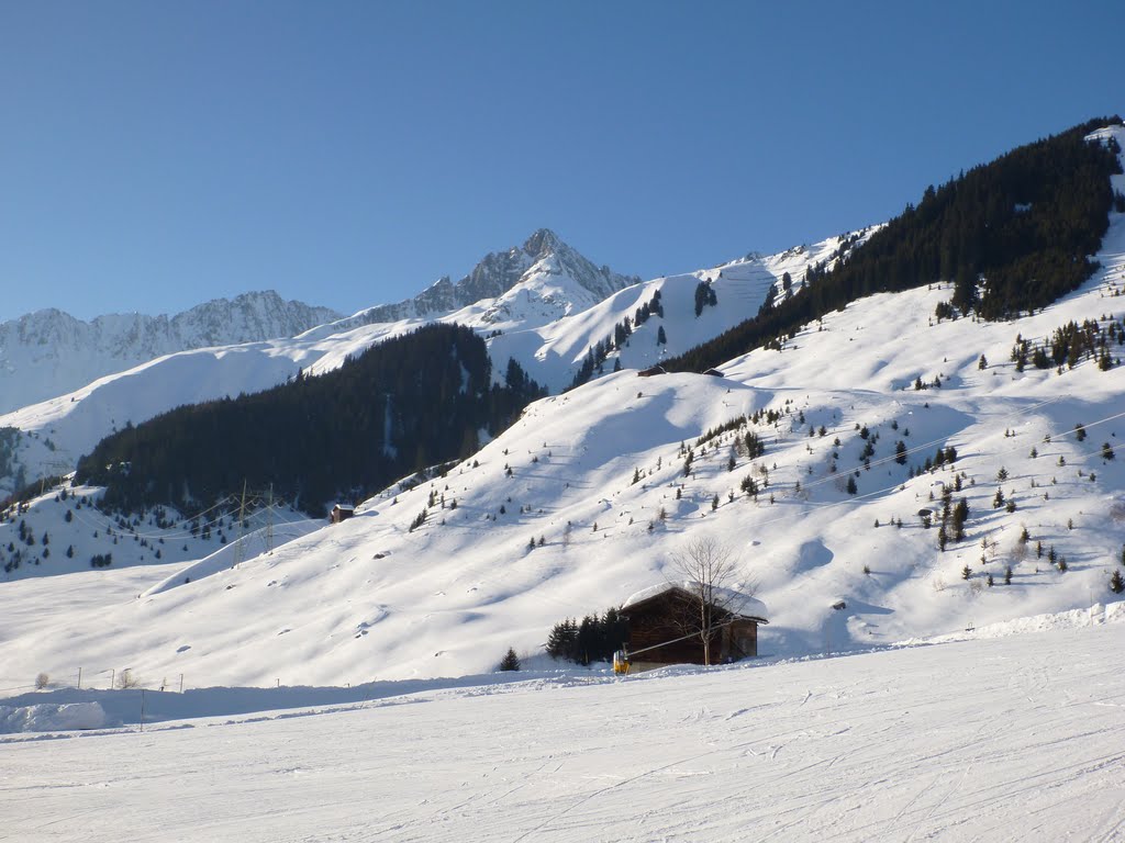 Panorama Sedrun Tujetsch Graubünden 2012 by lupo-ch