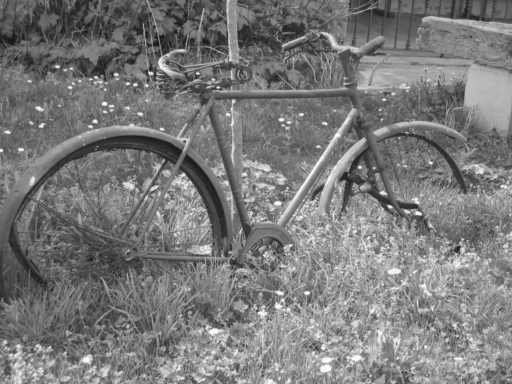 Bicicleta en Malleza (Salas) by La Casa del Chiflón (Bulnes)