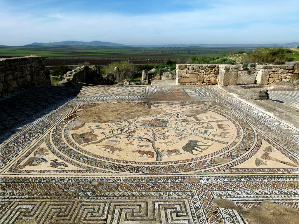 VOLUBILIS (MEKNES-Morocco). 2011. 150. Ruinas romanas. Casa de Orfeo. Mosaico. by Carlos Sieiro del Nido