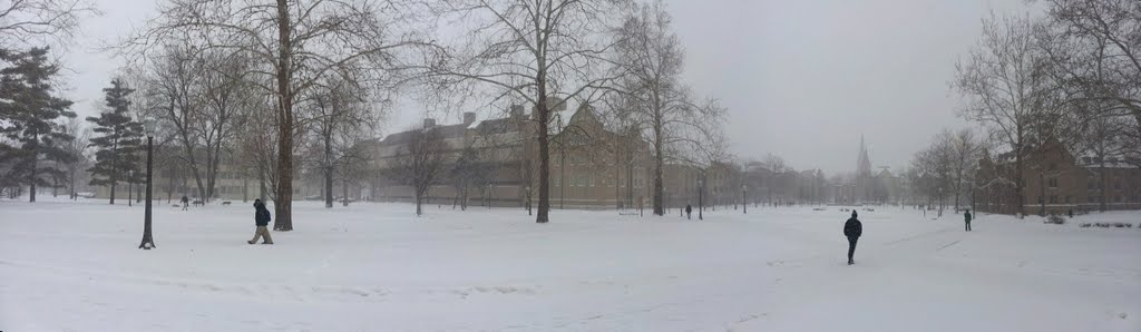 Snowy East Quad by Thorium.handler