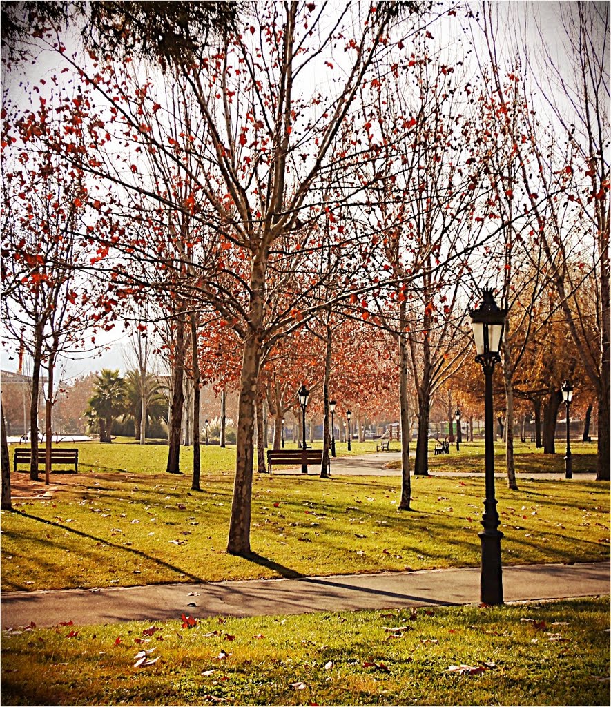 Parc de les Morisques a Sant Quirze del Vallès by Elisabeth Altarriba