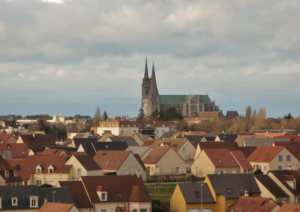 Les toits et la Cathédrale Notre-Dame , à Chartres by zambetti salvatore