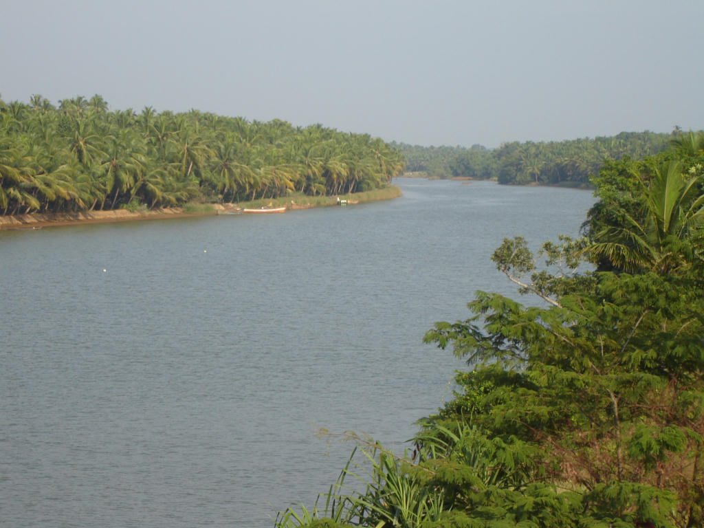 Pooraparambu River, Kerala, India by mcmurali