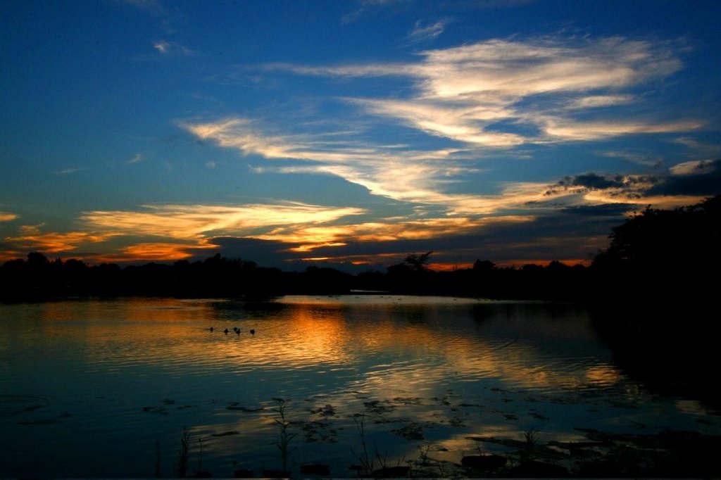 July Sunset at Laing Lake by WillyZ.