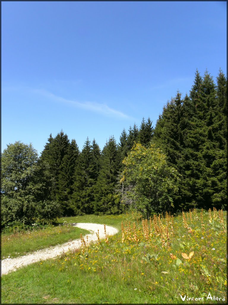 Chemin à Planachat by Vincent Allard