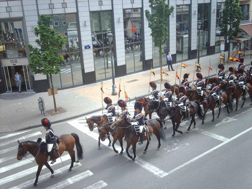 Nationale garde by Wim Barbier