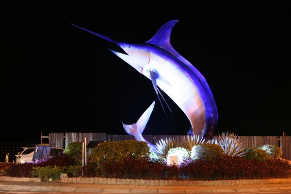 Fish at the city roundabout by raychiew78