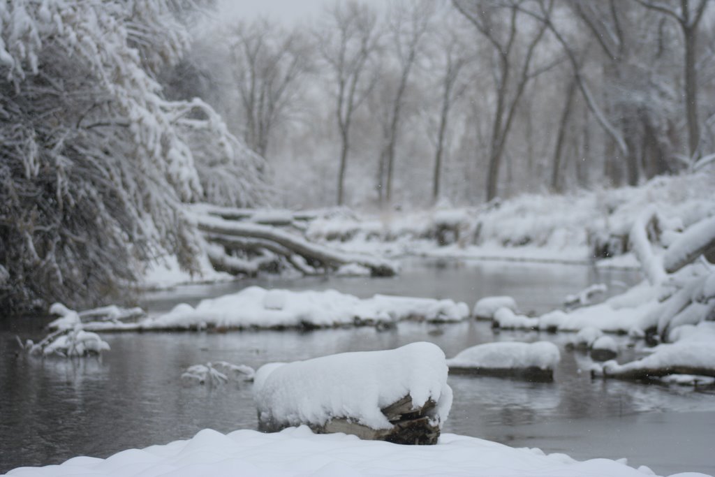 Winter on the Yellowstone by cameron_abell@hotmail.com