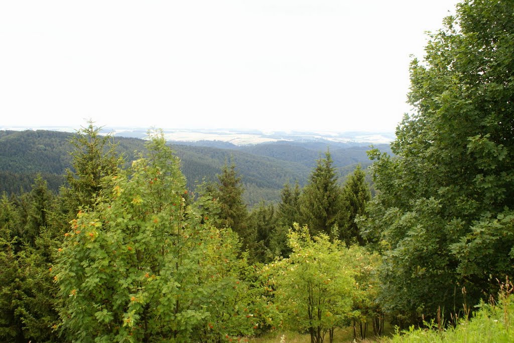 Blick vom Großen Knollen (Harz) by Atheistin