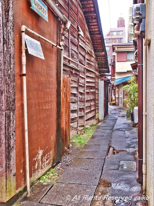 Old path -Ome, TOKYO- by gaiko