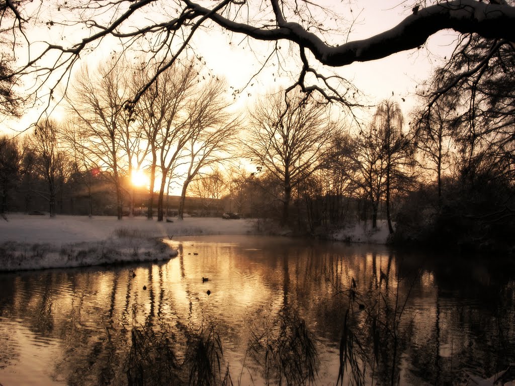 Winter 2011 by Joost vd Woerd