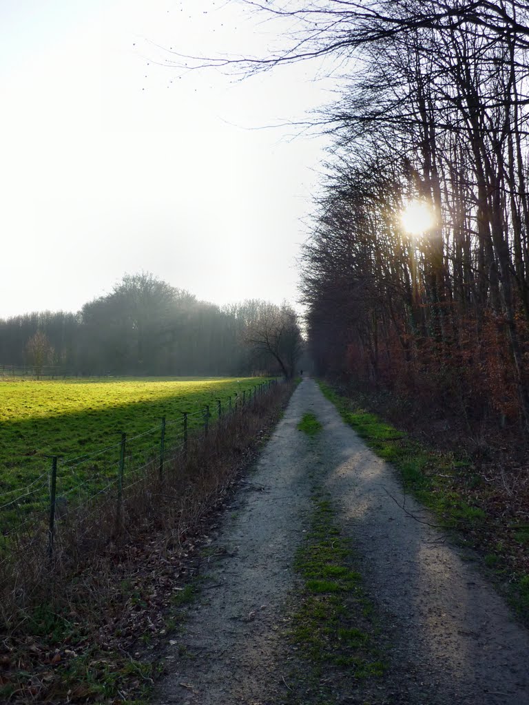 Weg am Rande des Wickeder Holzes (Dortmund-Wickede) / 15.01.2012 by Iceman93 / NO VIEWS!!!