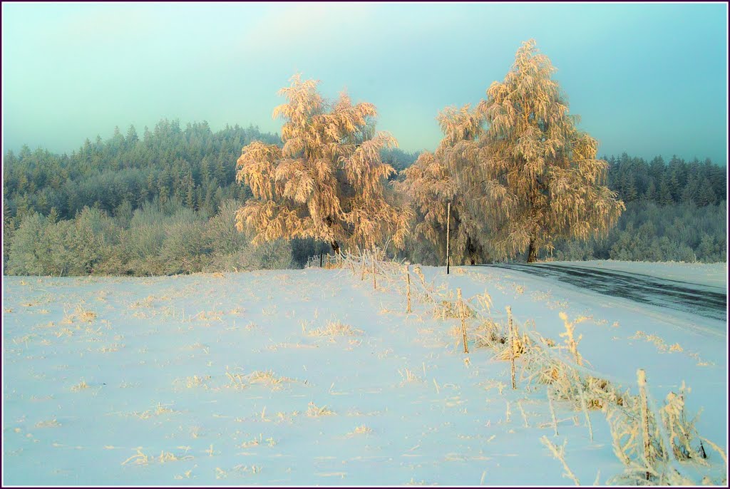 Zimní krajina u Domašova nad Bystřicí by bejaro