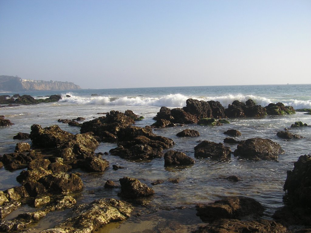 Low Tide, Crystal Cove State Park by knobonk