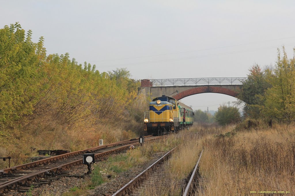 Pociąg specjalny z SU42-533 Chojnice - Koronowo wjeżdza do Pruszcz Bagienicy. by Michał Jerzy Golonka