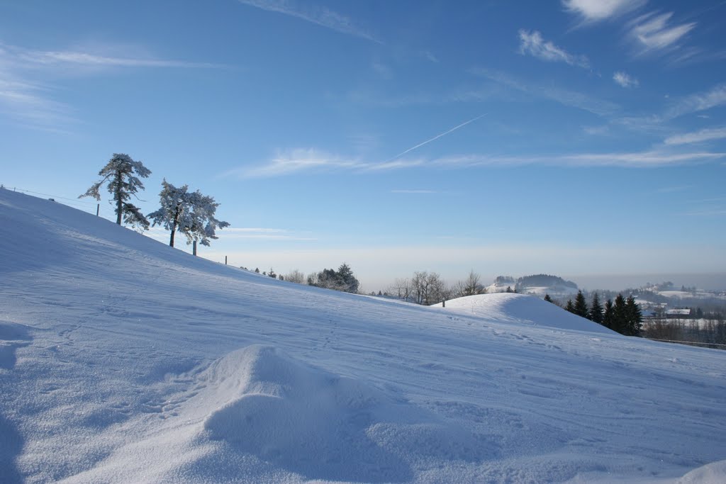 Winterlandschaft über Allenwinden by rudolf dubs