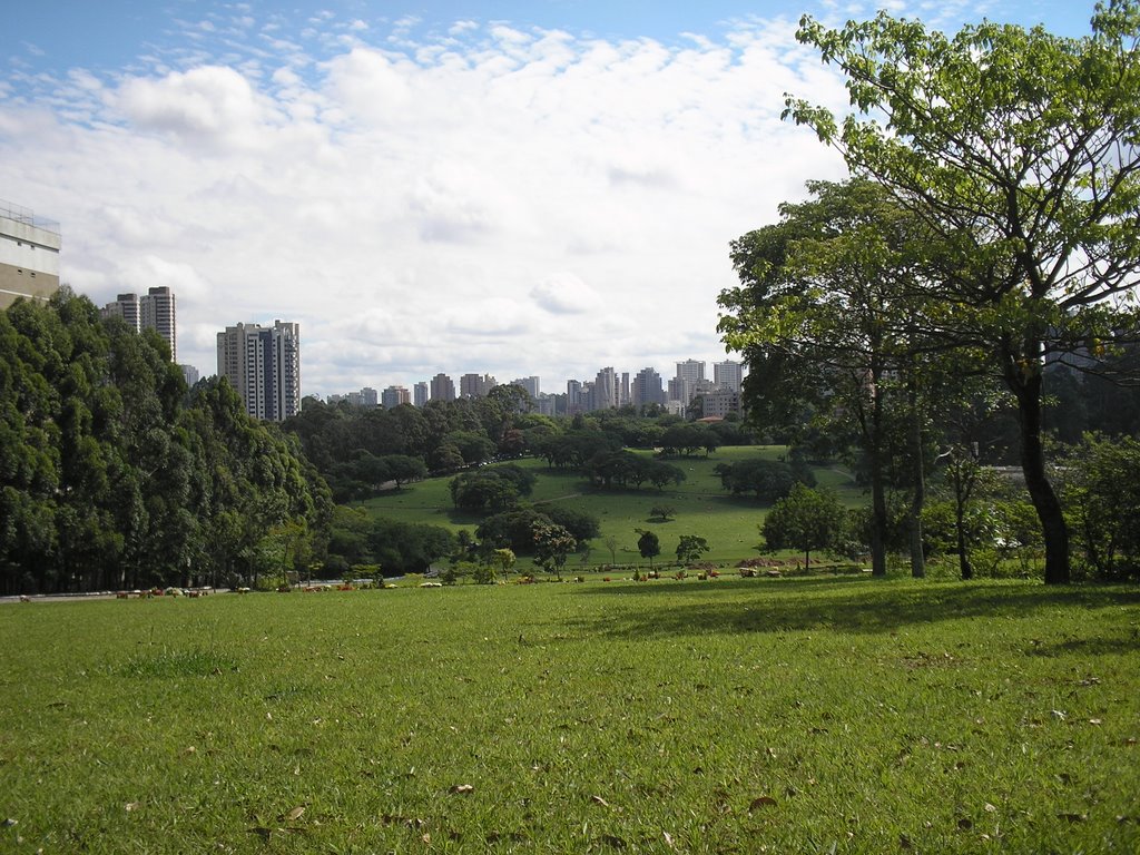 Vista do Cemitério do Morumbi - São Paulo - Brasil by Marcelo Parise Petazoni (Brasil)